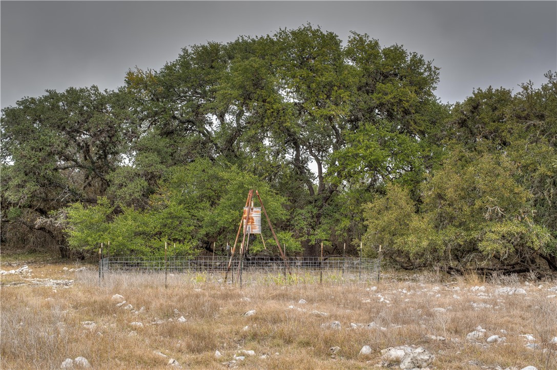 000 Leona Ranch Road, Brackettville, Texas image 9