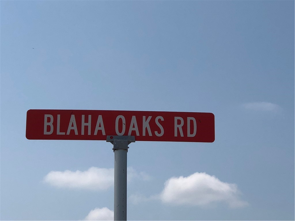LOT #30 Blaha Oaks Road, Fredericksburg, Texas image 4