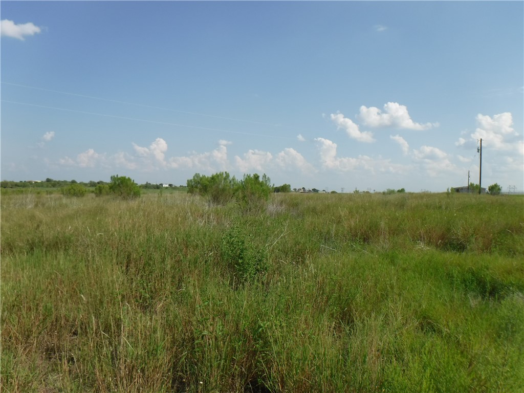 5170 County Road 463 Road, Coupland, Texas image 4