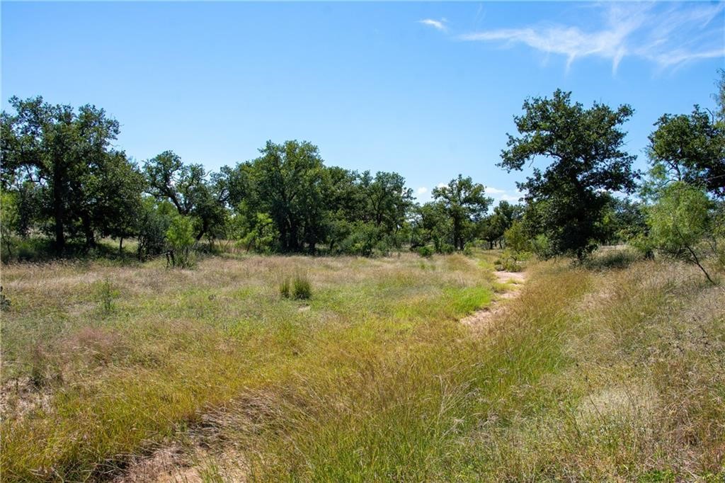 TBD County Road 405, Valley Spring, Texas image 15