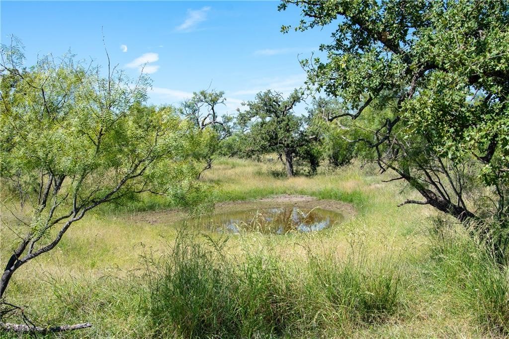TBD County Road 405, Valley Spring, Texas image 19