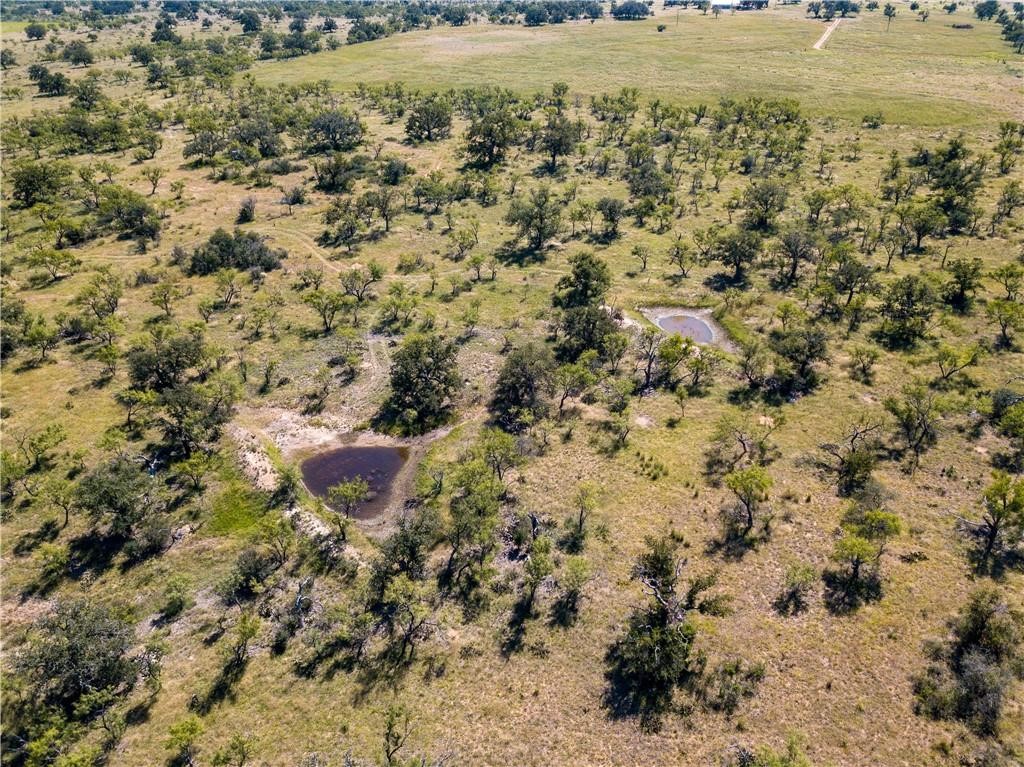 TBD County Road 405, Valley Spring, Texas image 3