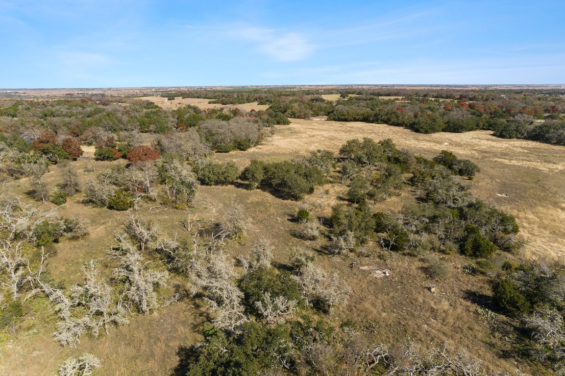 102 County Road 156 - Lot 20, Georgetown, Texas image 11