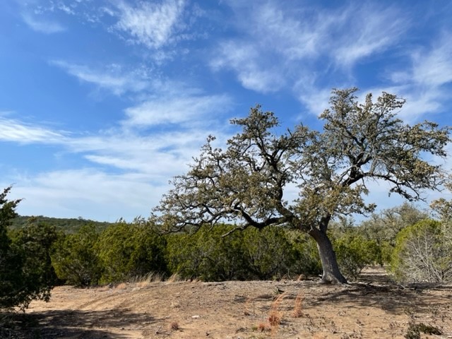 2078 W. Ranch Road 962, Lot 3, Round Mountain, Texas image 10