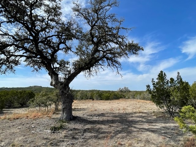 2078 W. Ranch Road 962, Lot 3, Round Mountain, Texas image 11