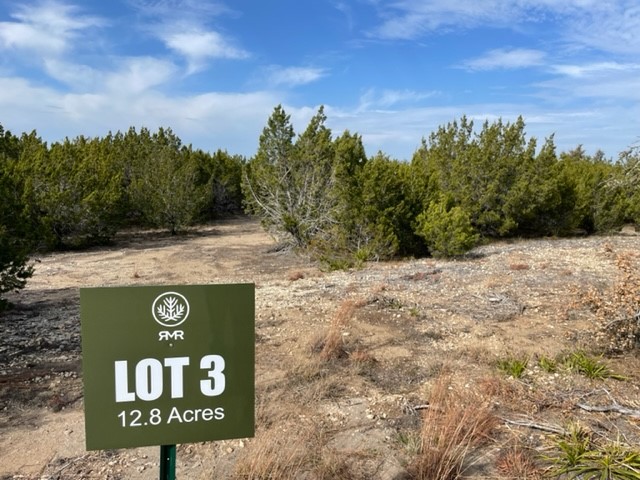 2078 W. Ranch Road 962, Lot 3, Round Mountain, Texas image 6