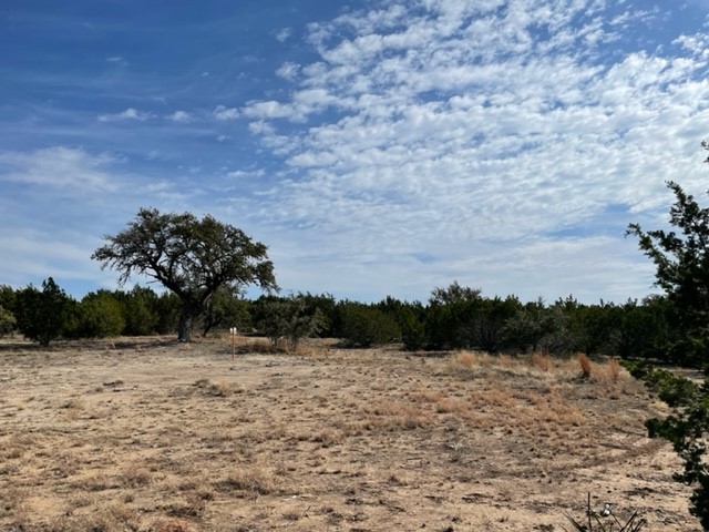 2078 W. Ranch Road 962, Lot 3, Round Mountain, Texas image 8