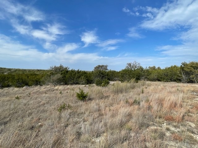 2078 W. Ranch Road 962, Lot 3, Round Mountain, Texas image 9