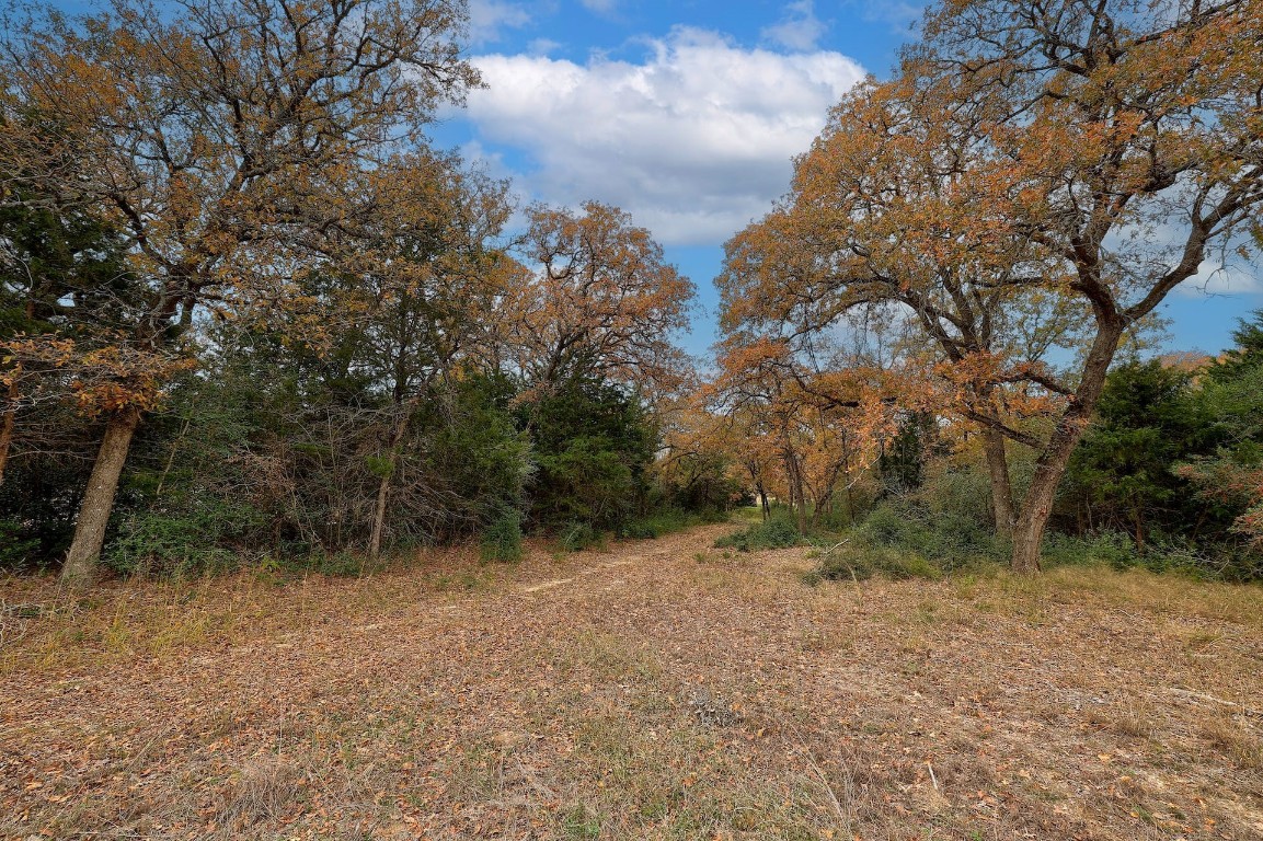1563 County Road 312, Thrall, Texas image 10