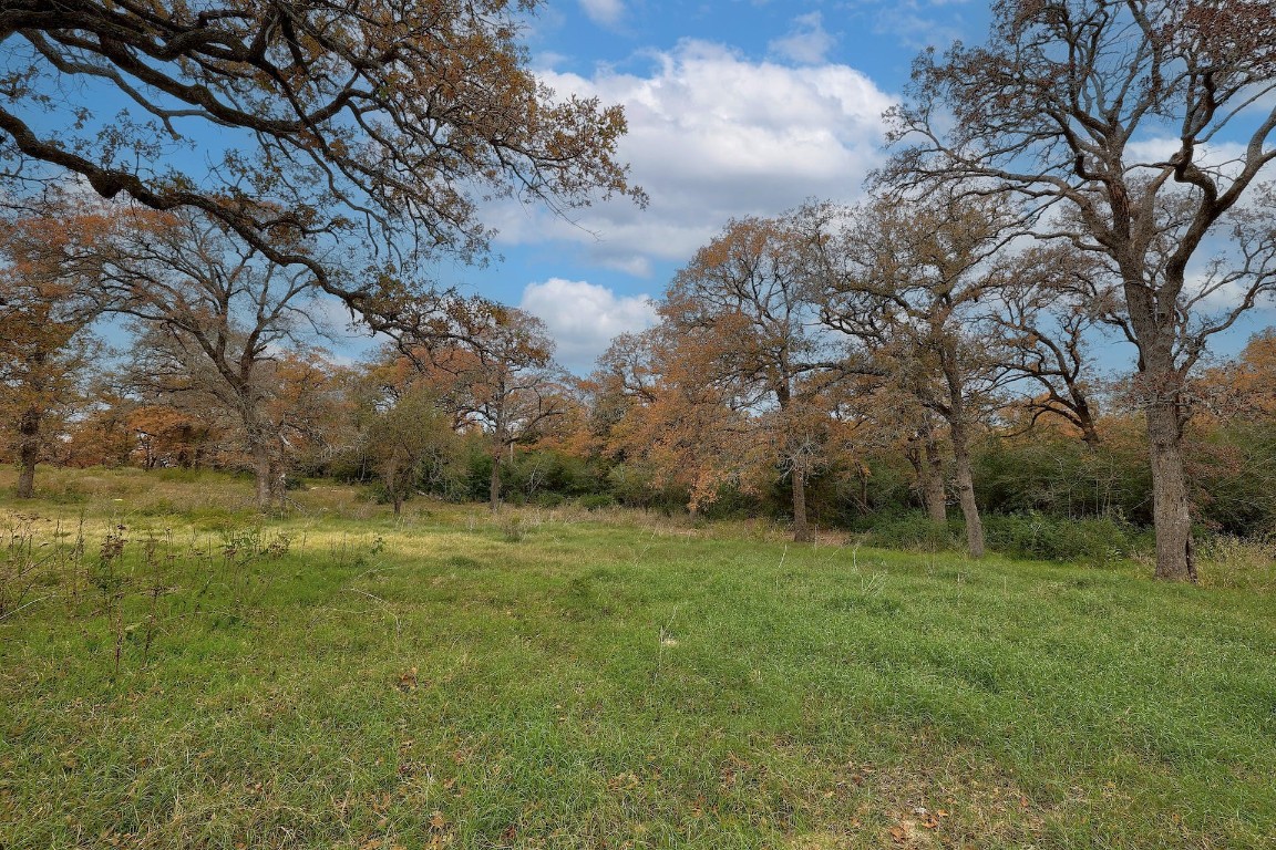 1563 County Road 312, Thrall, Texas image 13