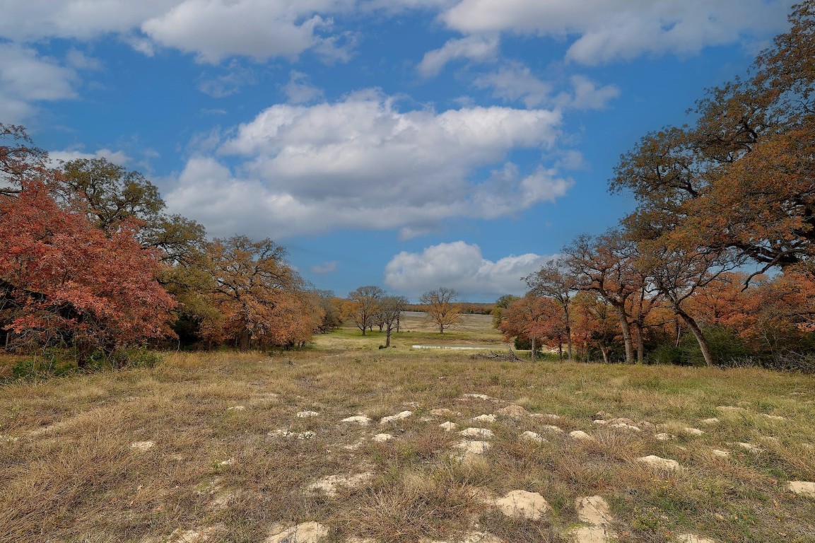 1563 County Road 312, Thrall, Texas image 14