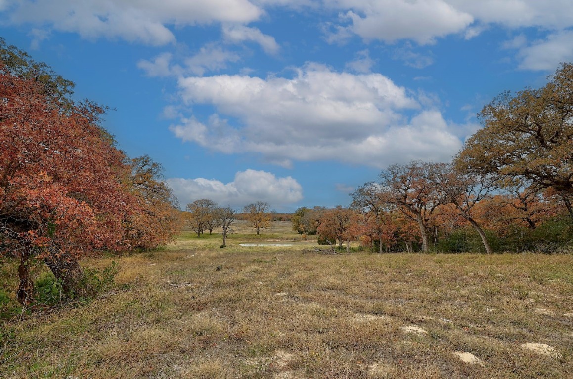 1563 County Road 312, Thrall, Texas image 15