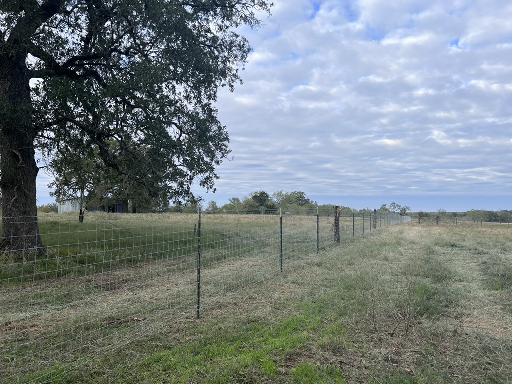 1-23 (2 Acres) Starlight Path, Red Rock, Texas image 16