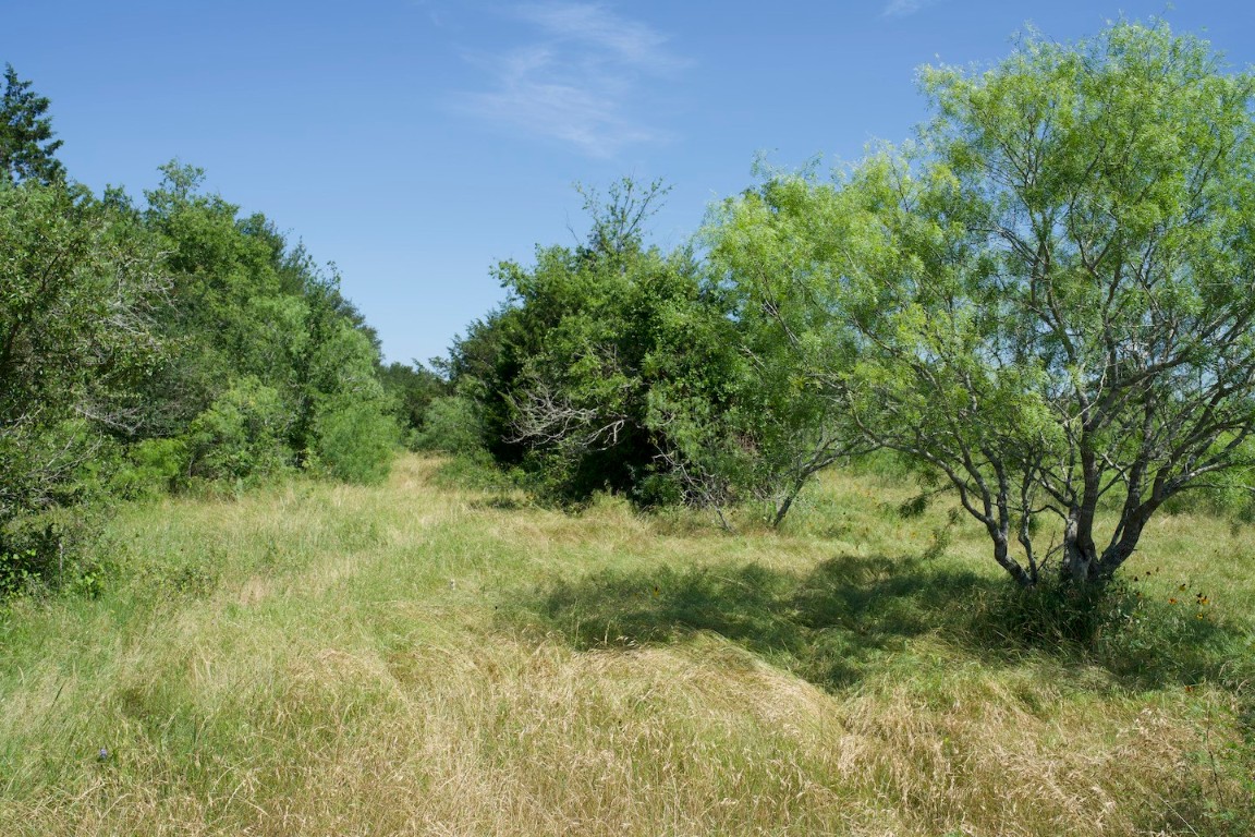 TBD Taylorsville Road Road, Red Rock, Texas image 33