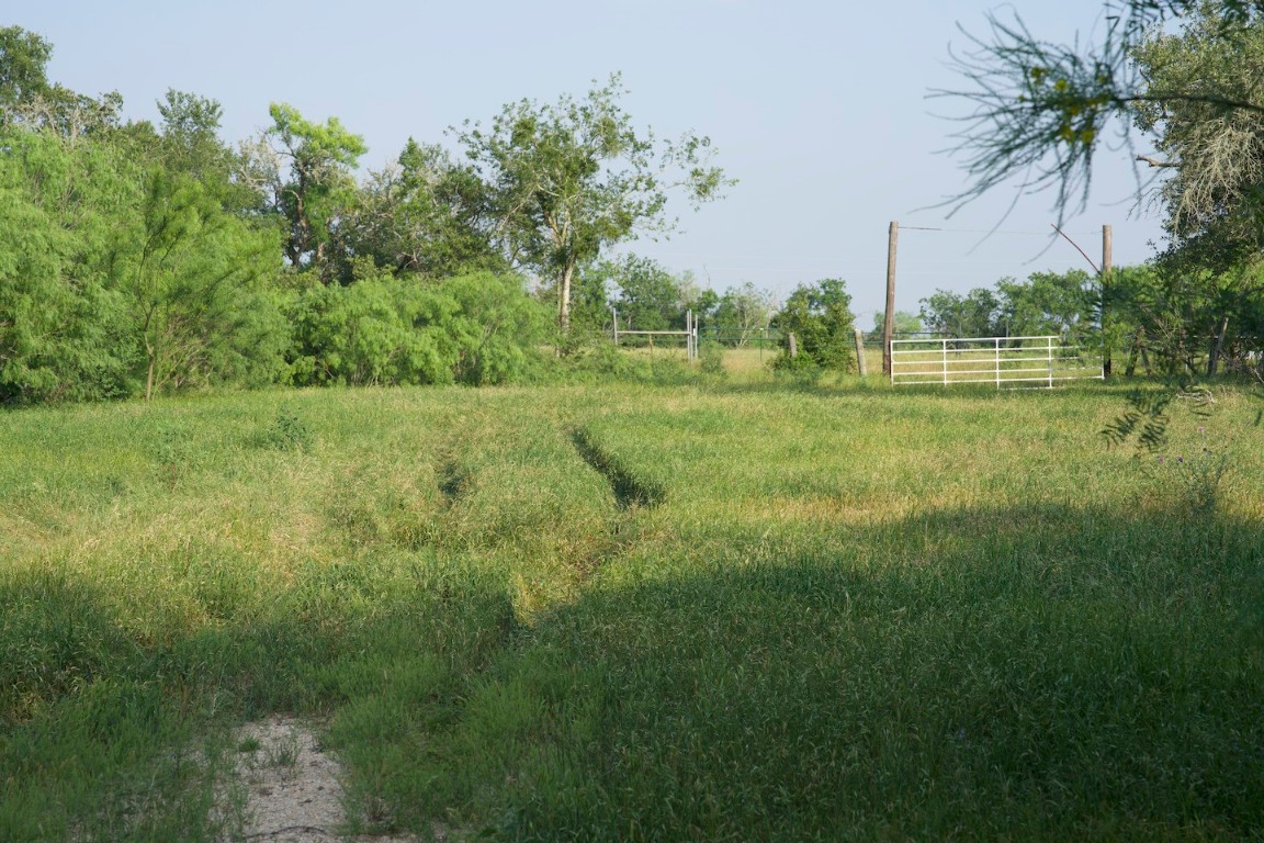 TBD Taylorsville Road Road, Red Rock, Texas image 8