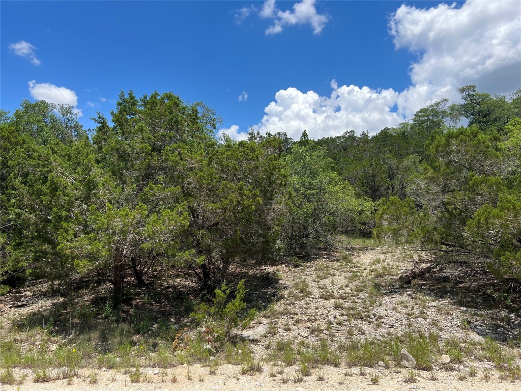 Tbd Contour - Lots 14 & 15 Drive, Spring Branch, Texas image 1