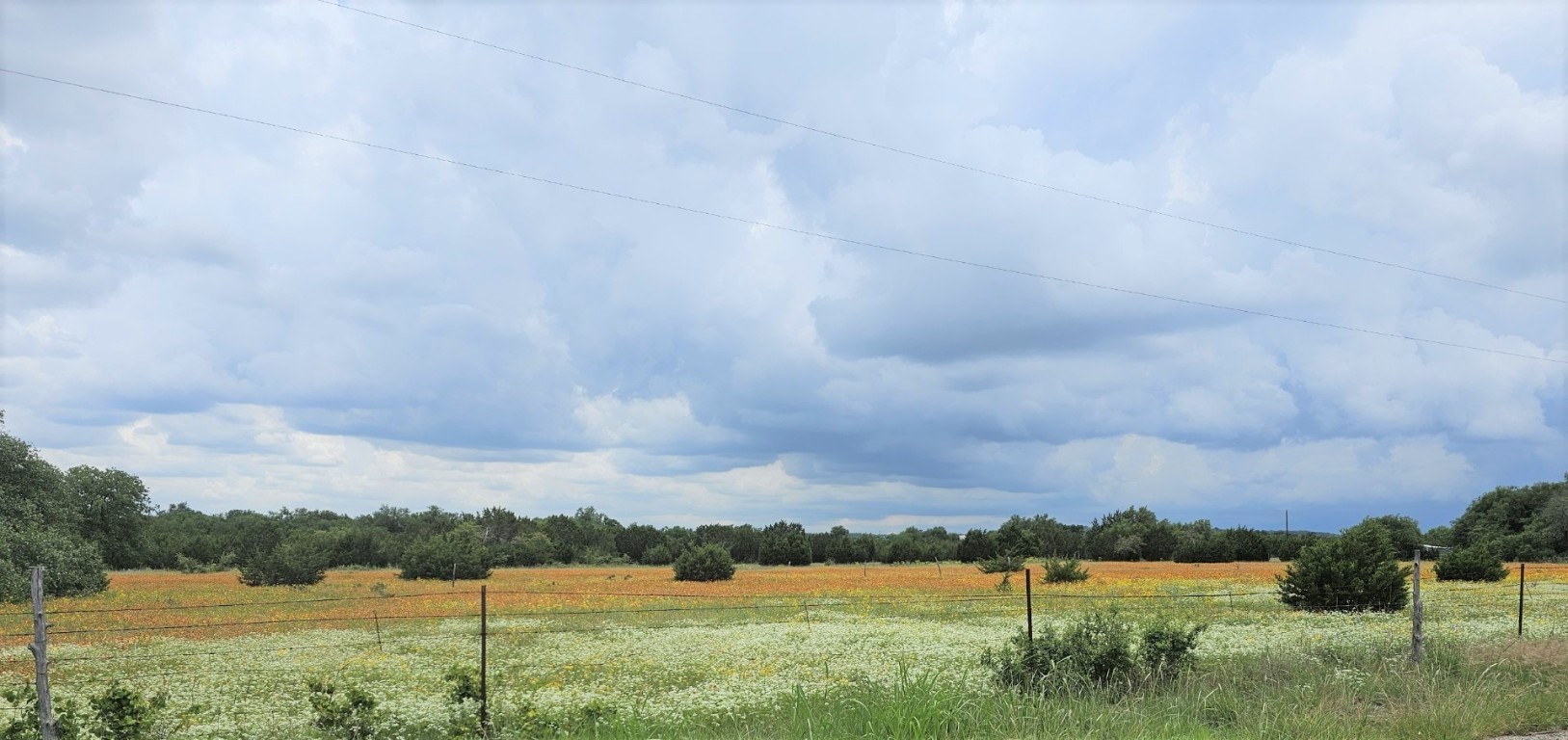 TBD County Road 251 Road, Georgetown, Texas image 1
