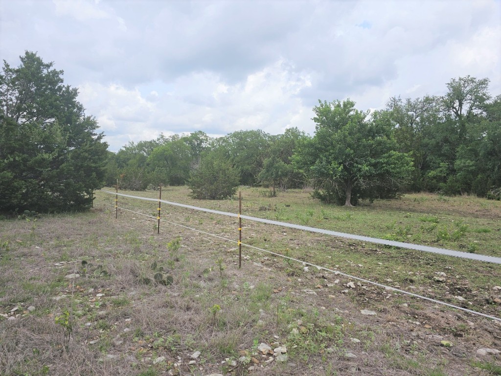 TBD County Road 251 Road, Georgetown, Texas image 3