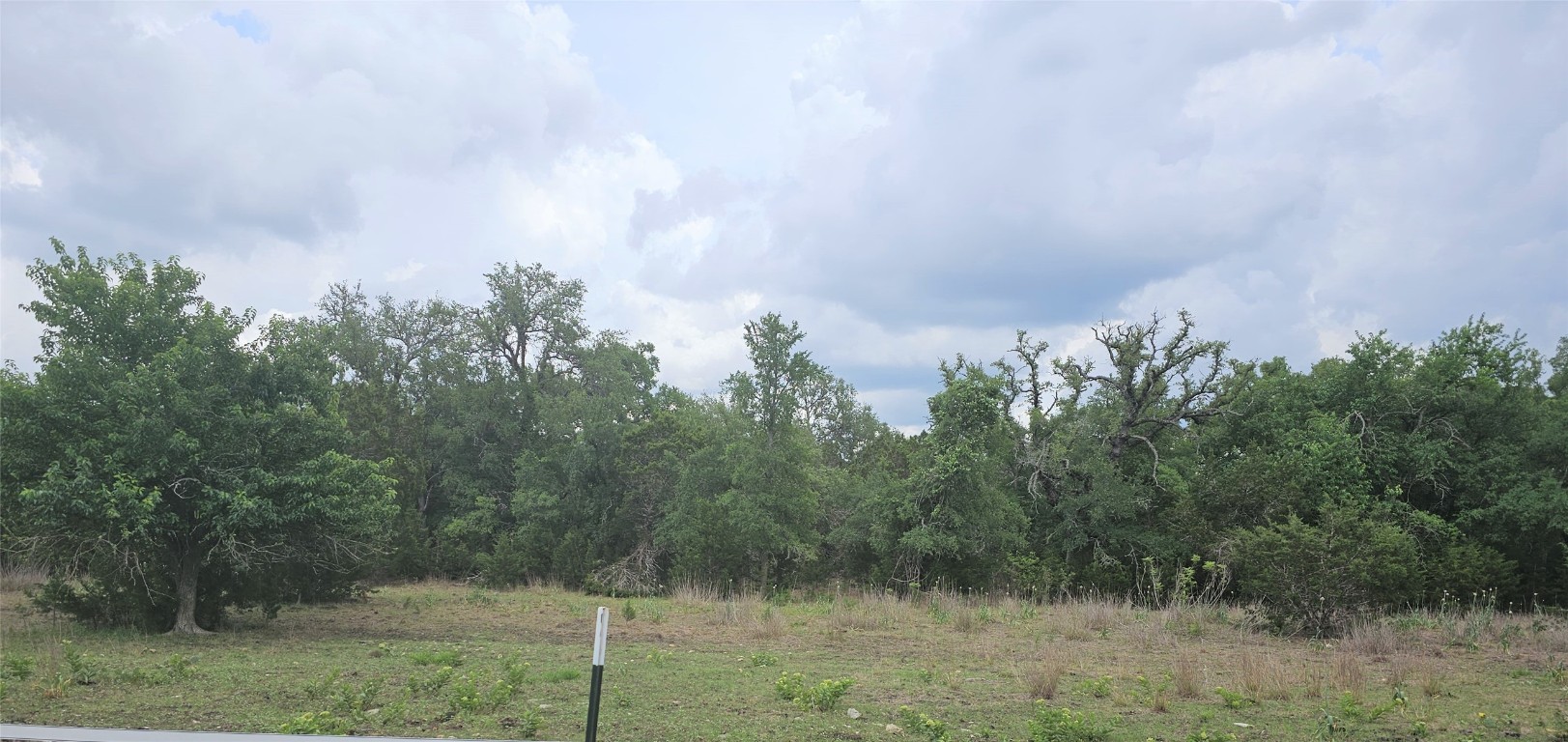 TBD County Road 251 Road, Georgetown, Texas image 4