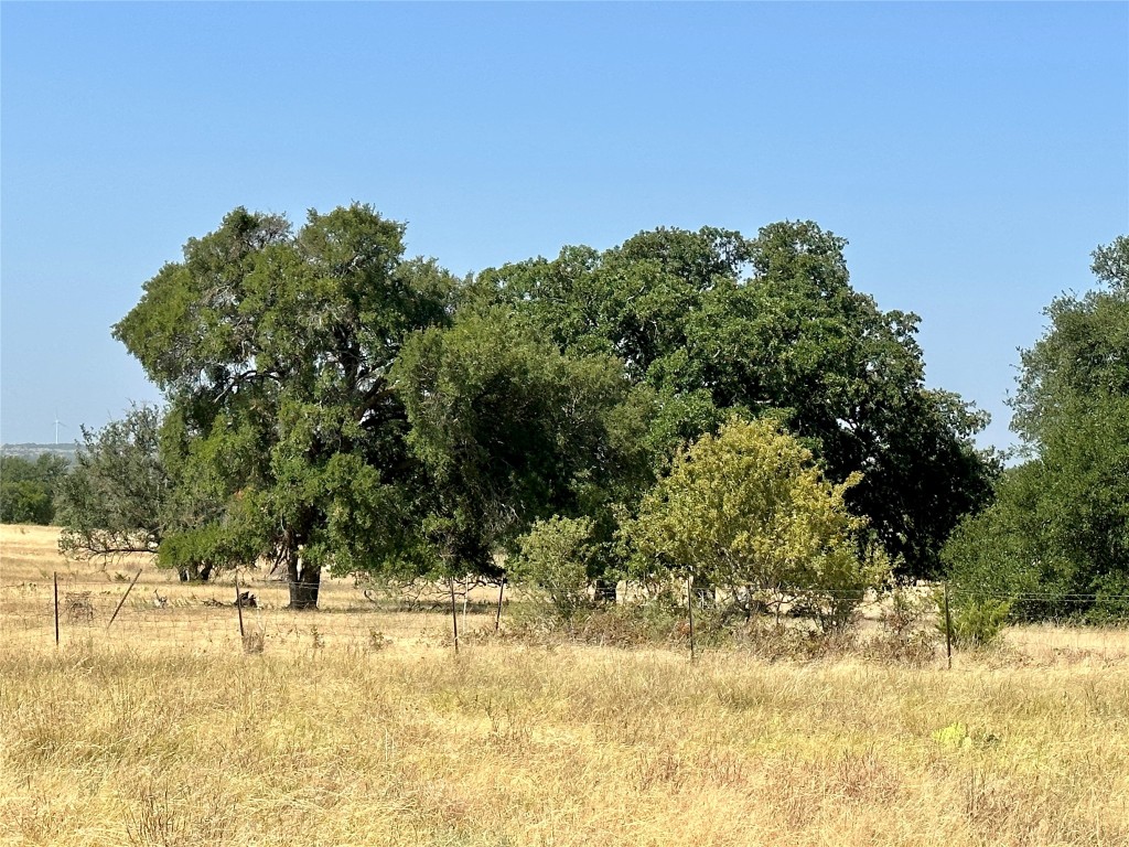 TBD11 County Road 250, Goldthwaite, Texas image 6