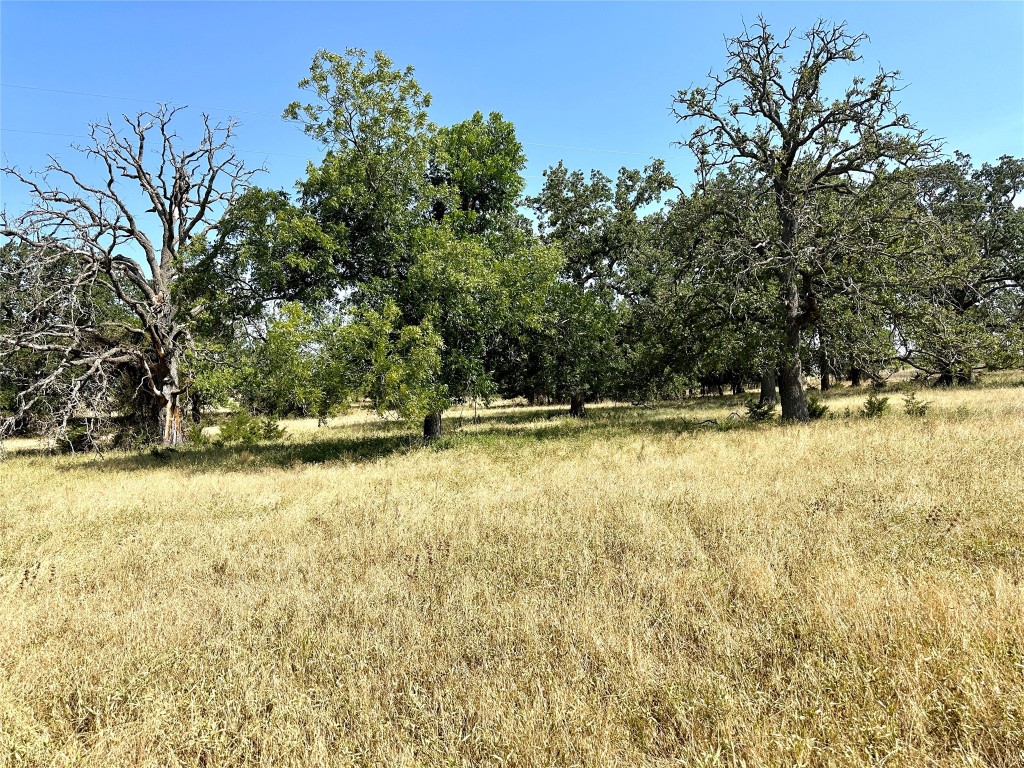 TBD11 County Road 250, Goldthwaite, Texas image 9