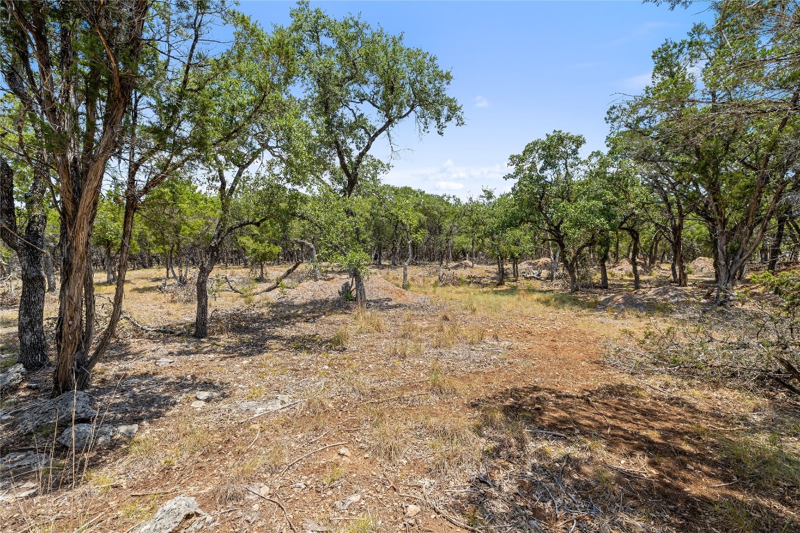 19 Spring Valley Drive, Wimberley, Texas image 2