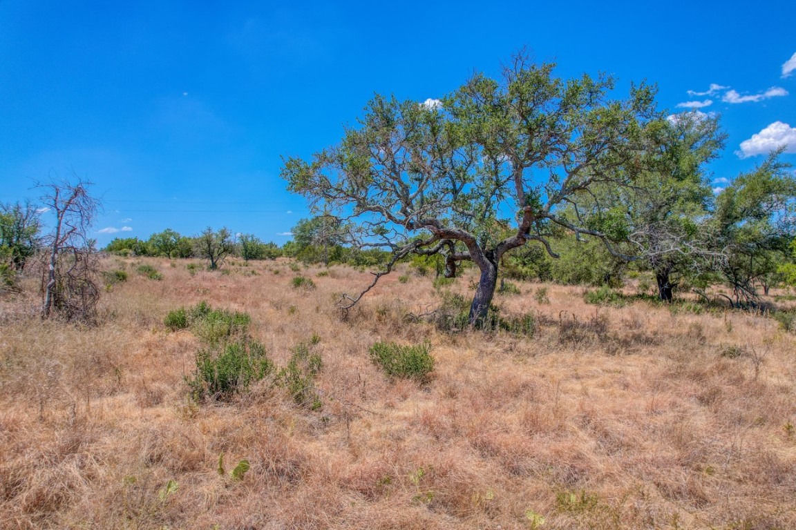 9580 Smith West Ranch Road, Round Mountain, Texas image 15