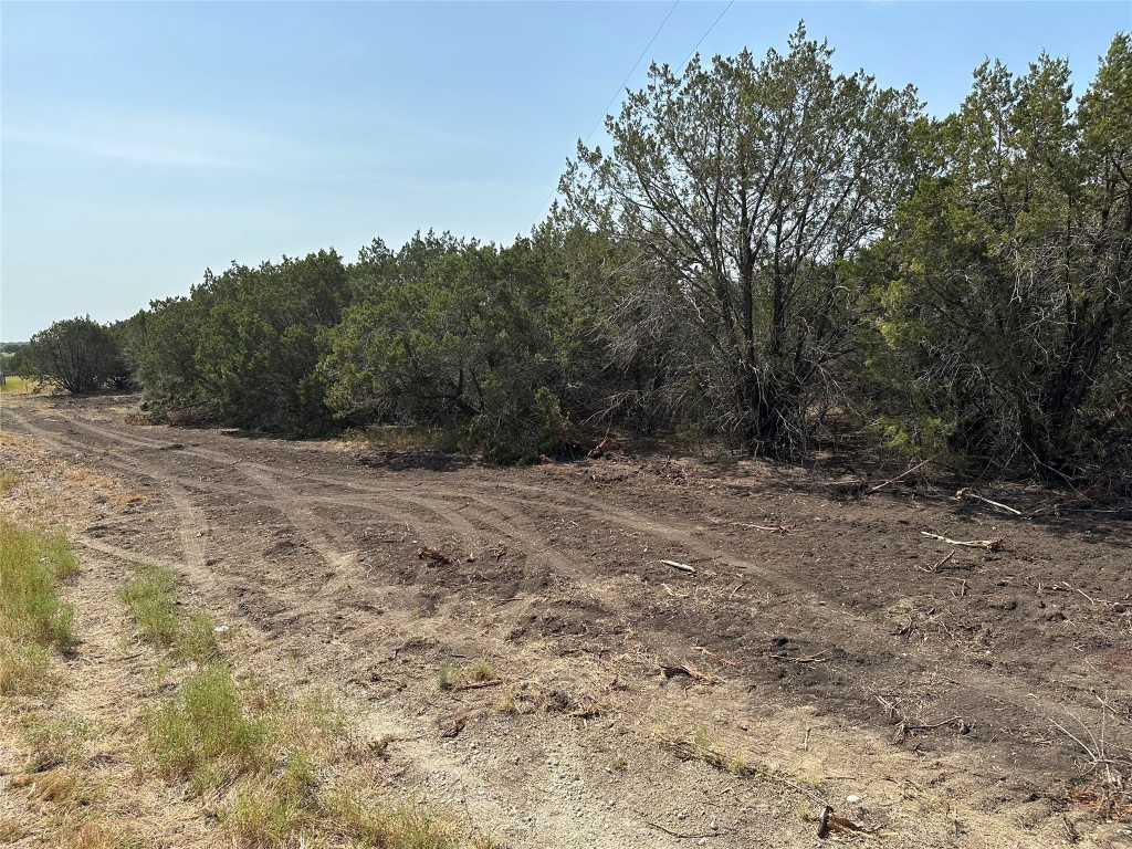 Tract 9 County Road 154, Evant, Texas image 19