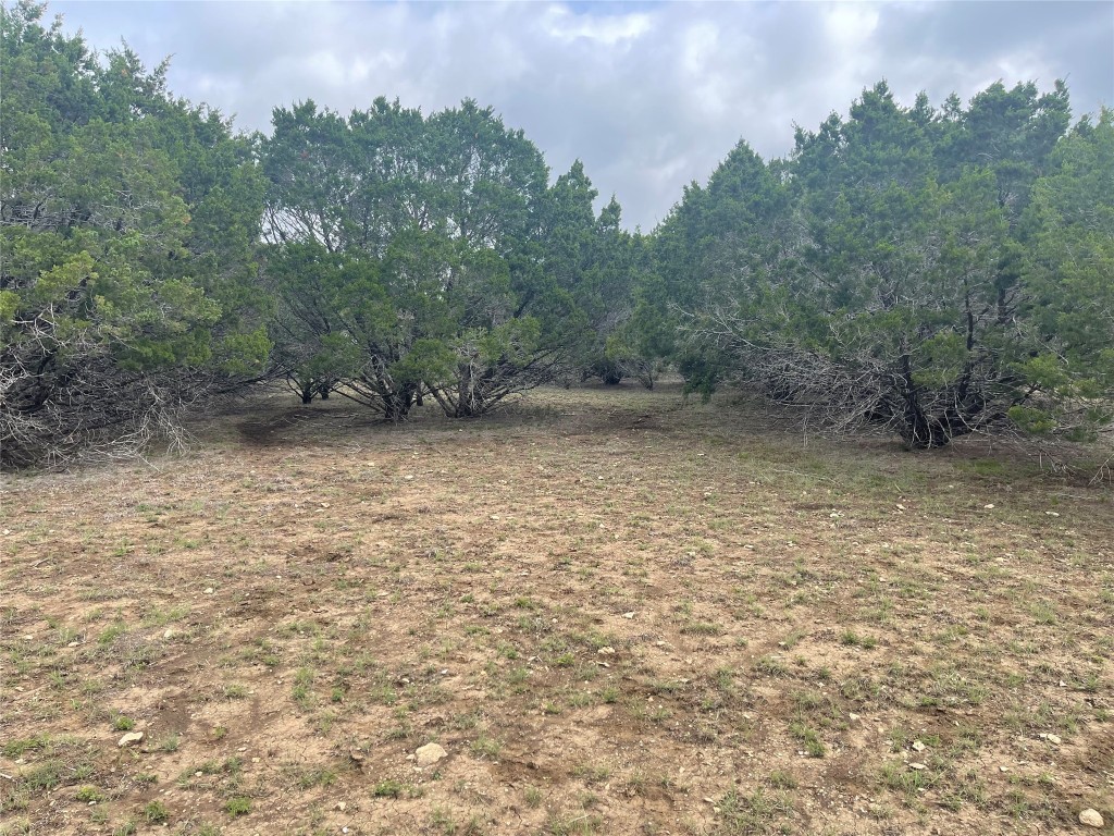 Tract 2 County Road 155, Evant, Texas image 9
