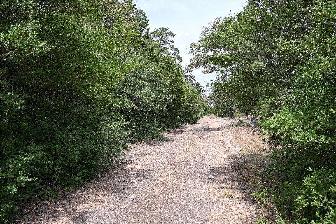 1677 Walnut Drive, New Ulm, Texas image 5