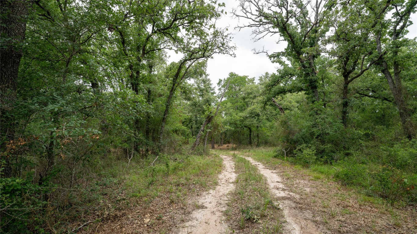 418-D County Road 405, Buckholts, Texas image 10