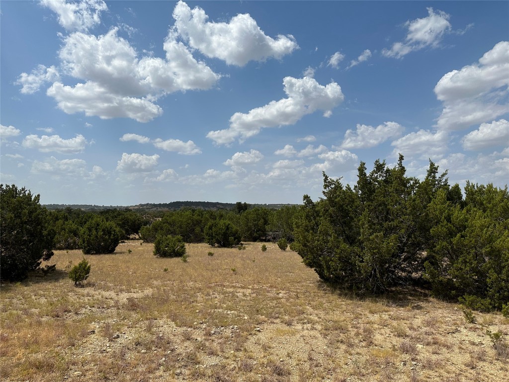 Tract 1 County Road 155, Evant, Texas image 3