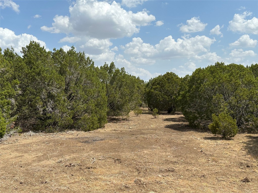 Tract 1 County Road 155, Evant, Texas image 13