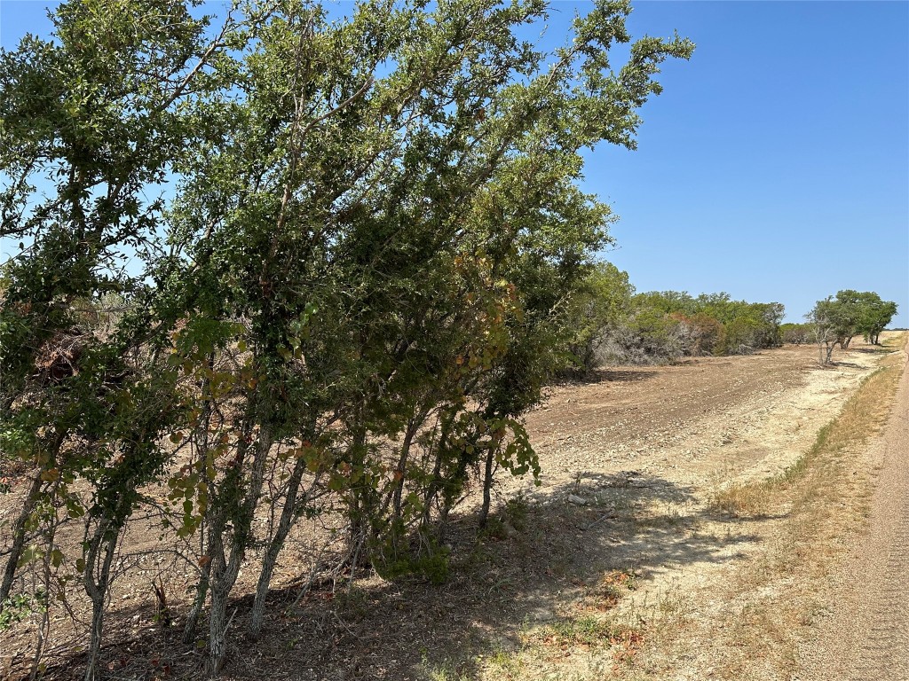 Tract 7 County Road 154, Evant, Texas image 10