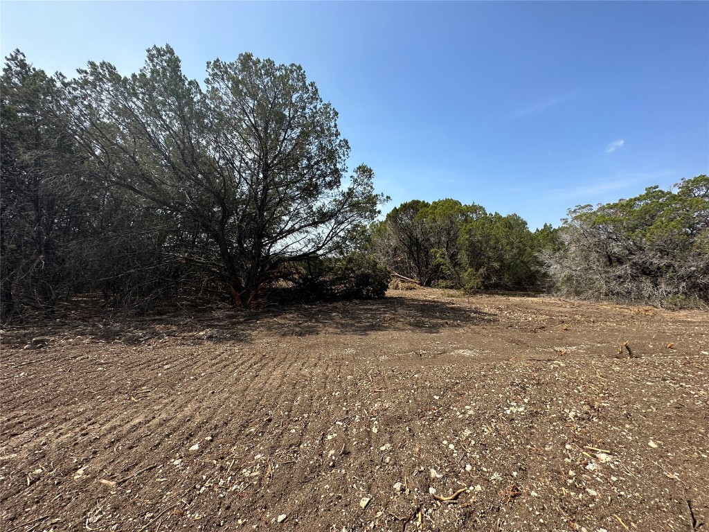 Tract 7 County Road 154, Evant, Texas image 6