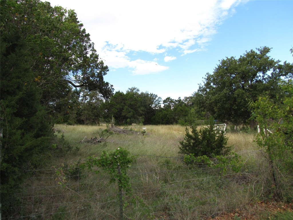 TBD County Rd 176, Leander, Texas image 10