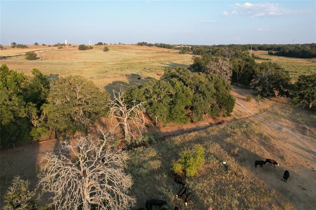 1768 County Road 449, Thorndale, Texas image 20