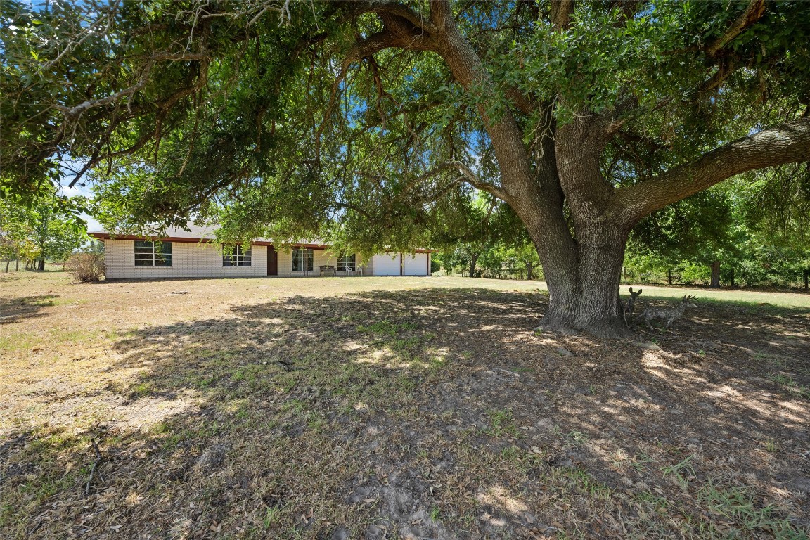 1768 County Road 449, Thorndale, Texas image 8
