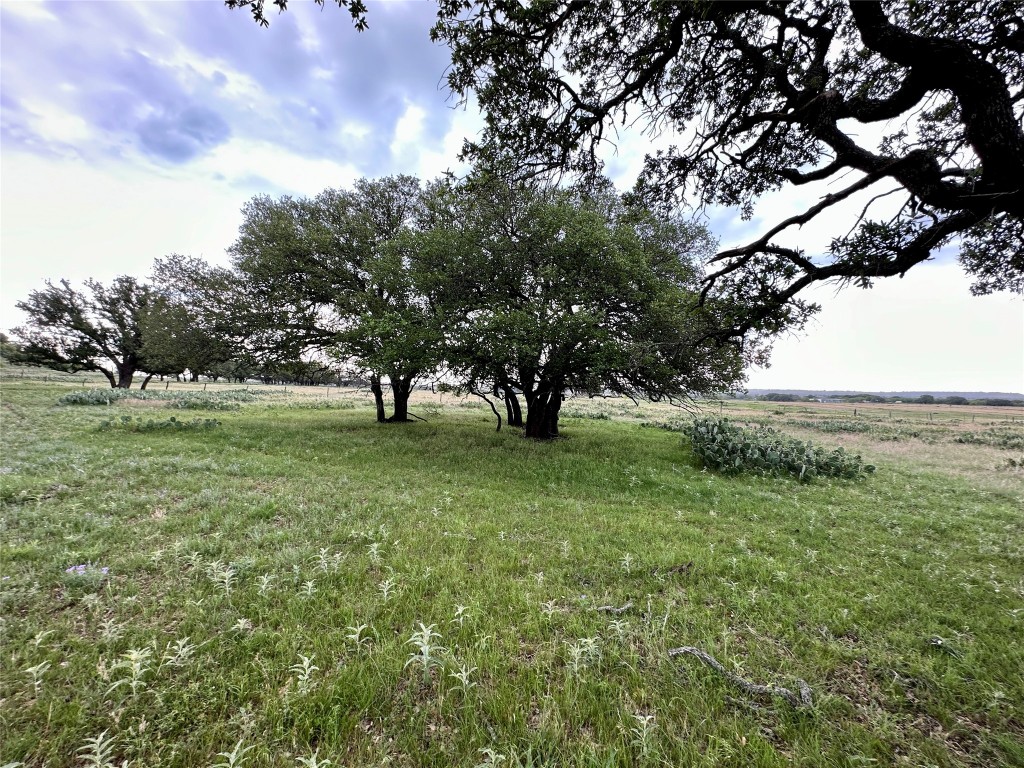 40 County Rd 128, Mullin, Texas image 11