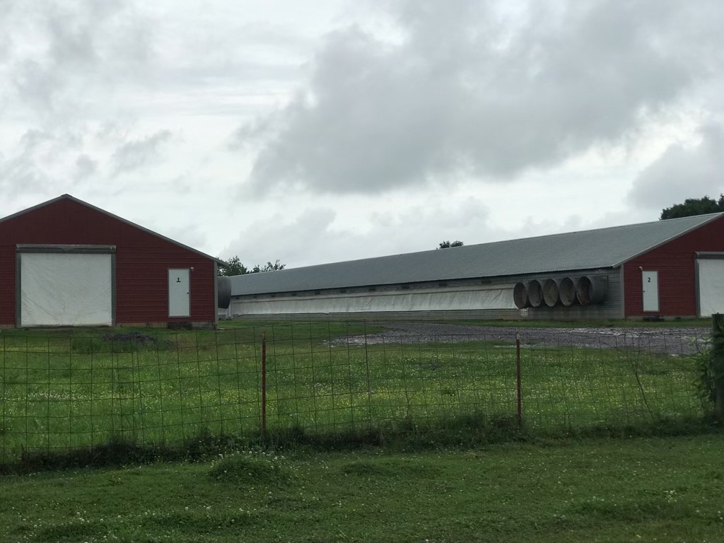 Farm for sale – 11588  Omega   Danville, AR