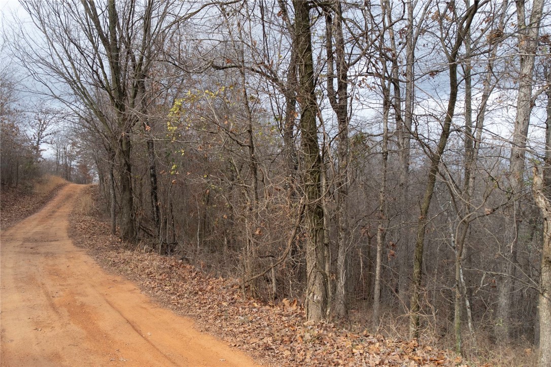 Hickory Springs Road, Hindsville, AR 72738