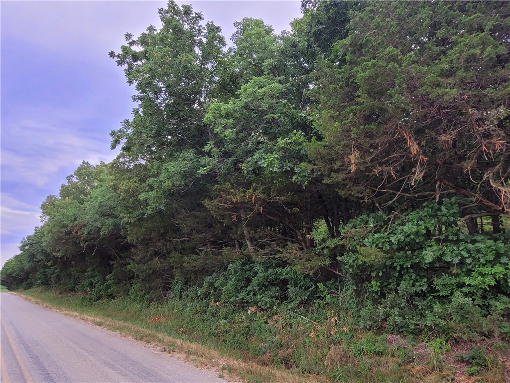 Tract 1 Mount Olive Wc 44 Road, Elkins, AR 72727