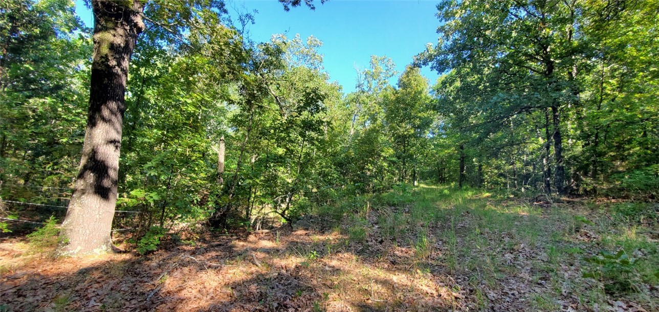 TBD County Road 987, Berryville, AR 72616