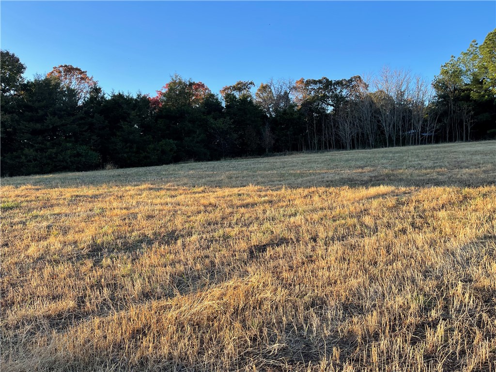 Tract 2 Neill's Bluff Road, Springdale, AR 72764