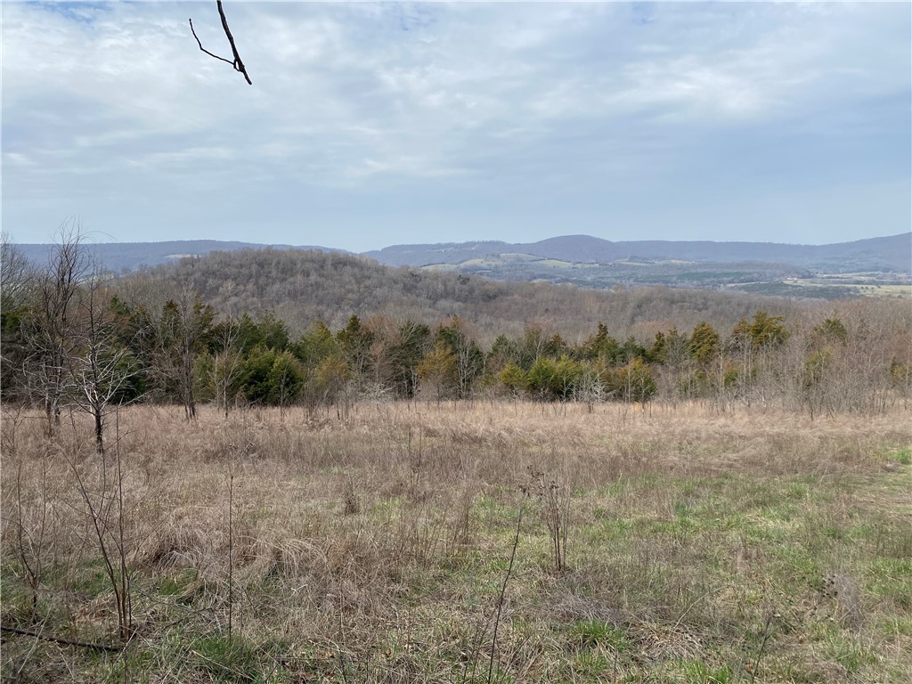 374 acres CR 995 Road, Green Forest, AR 72638