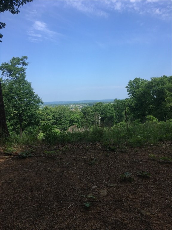 Secluded property close to town with multiple building sites. Heavily wooded, but cleared where seller was going to build dream home and shop. Electricity on site. Recently surveyed, boundaries marked with flags.