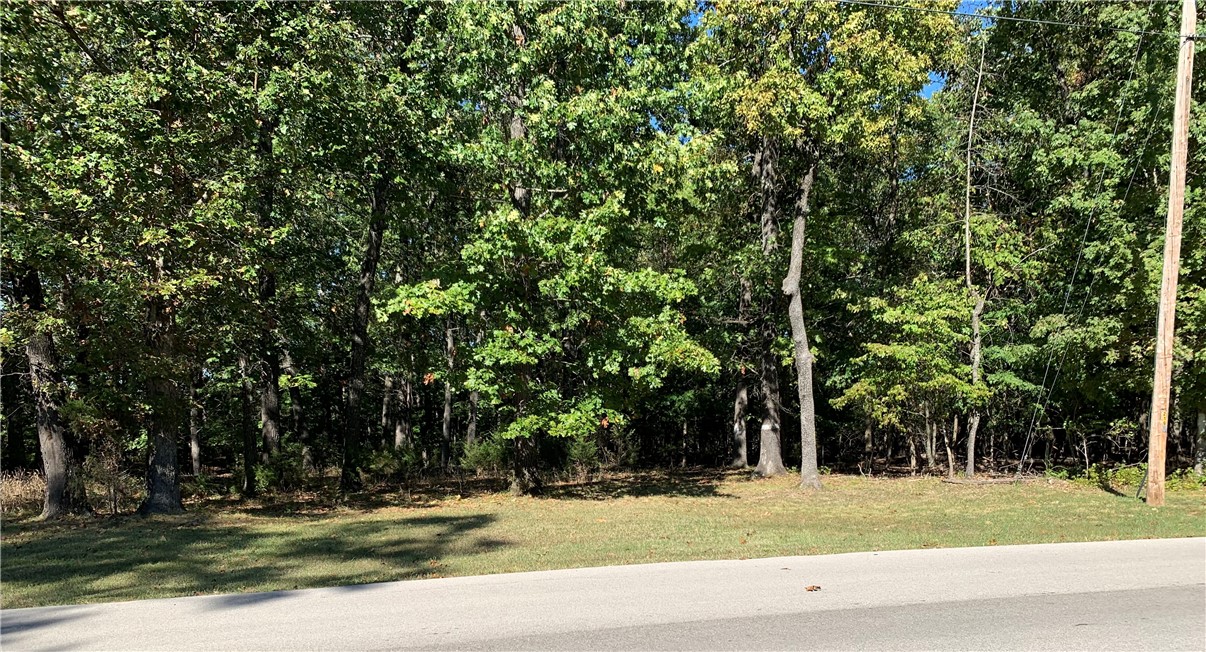 Lot 1 Ferncliff Point Subdivision, Bull Shoals, AR 72619