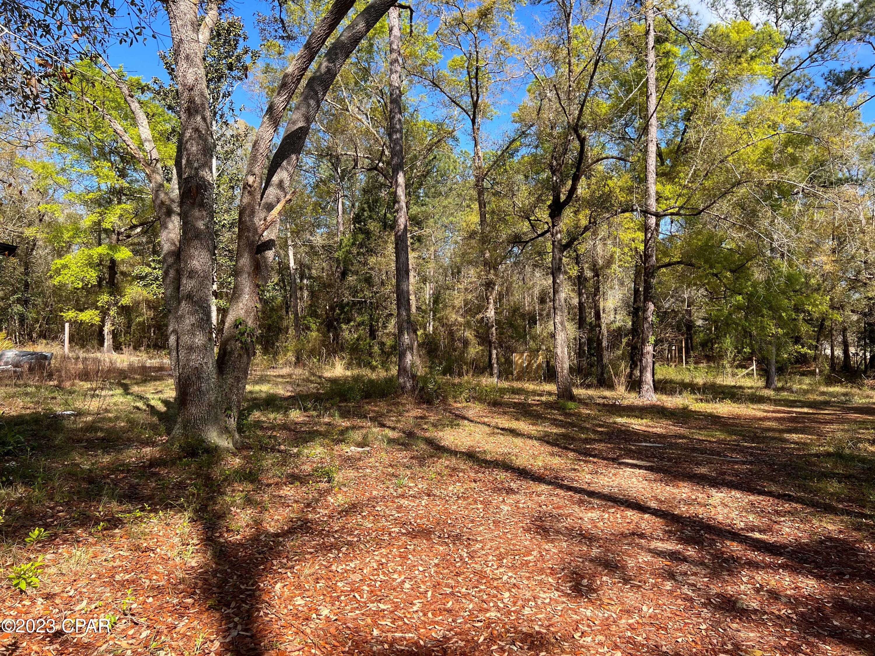 30589 NE County Road 67, Hosford, FL 32334