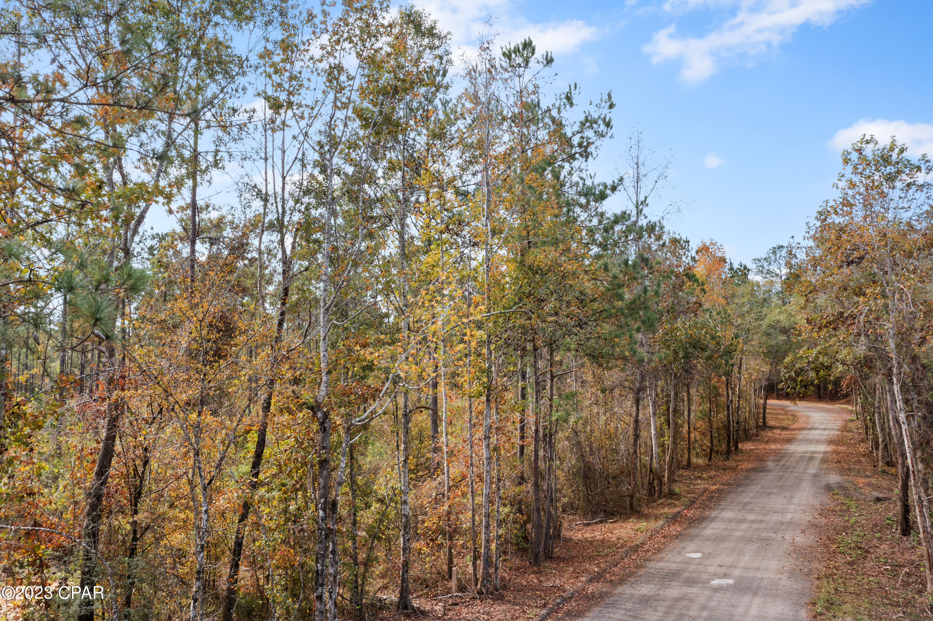 Beautiful, peaceful, buildable acreage located approximately 5 miles from I-10 exit in Ponce De Leon, 15 miles to I-10 exit in Defuniak Springs. High and dry, lightly wooded.
