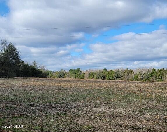 Lot #12 Creek Road, Bonifay, FL 